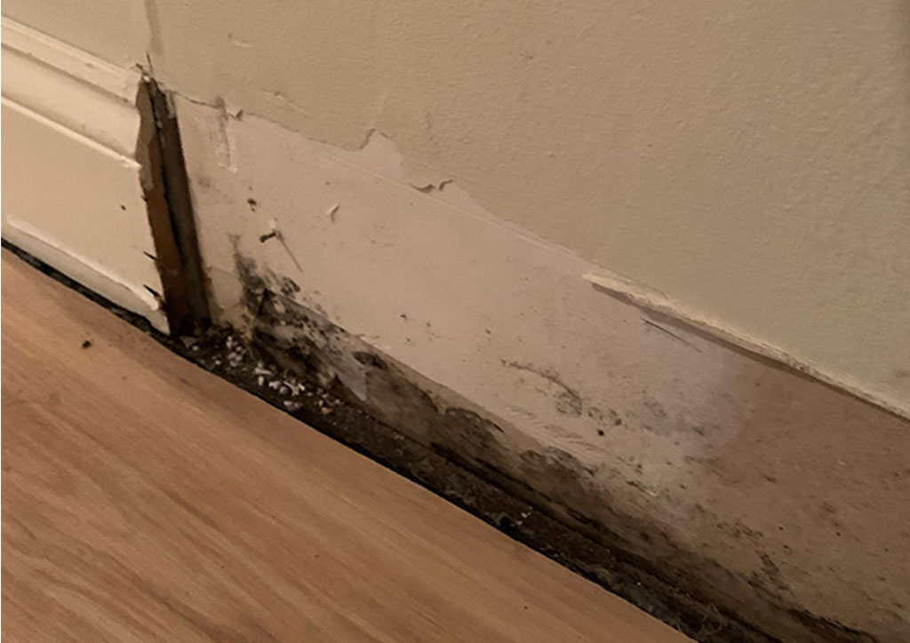 Mold Removal Cleaning Service Connecticut