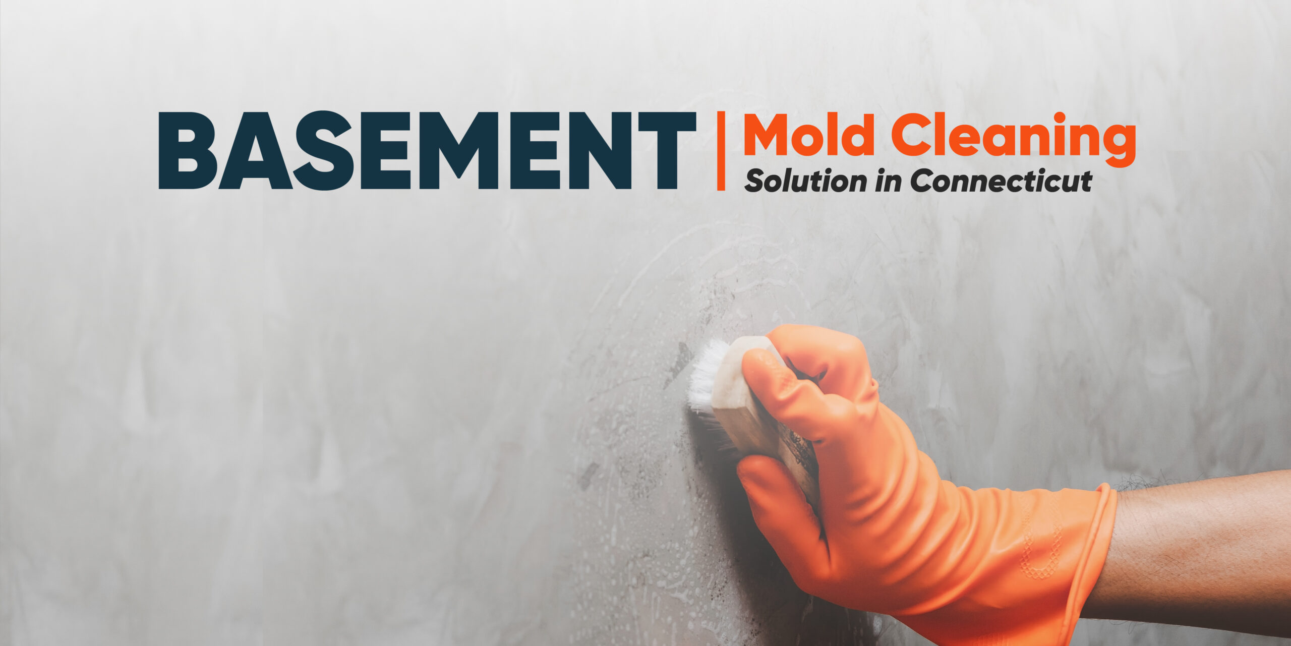 Basement Mold Cleaning Solution in Connecticut