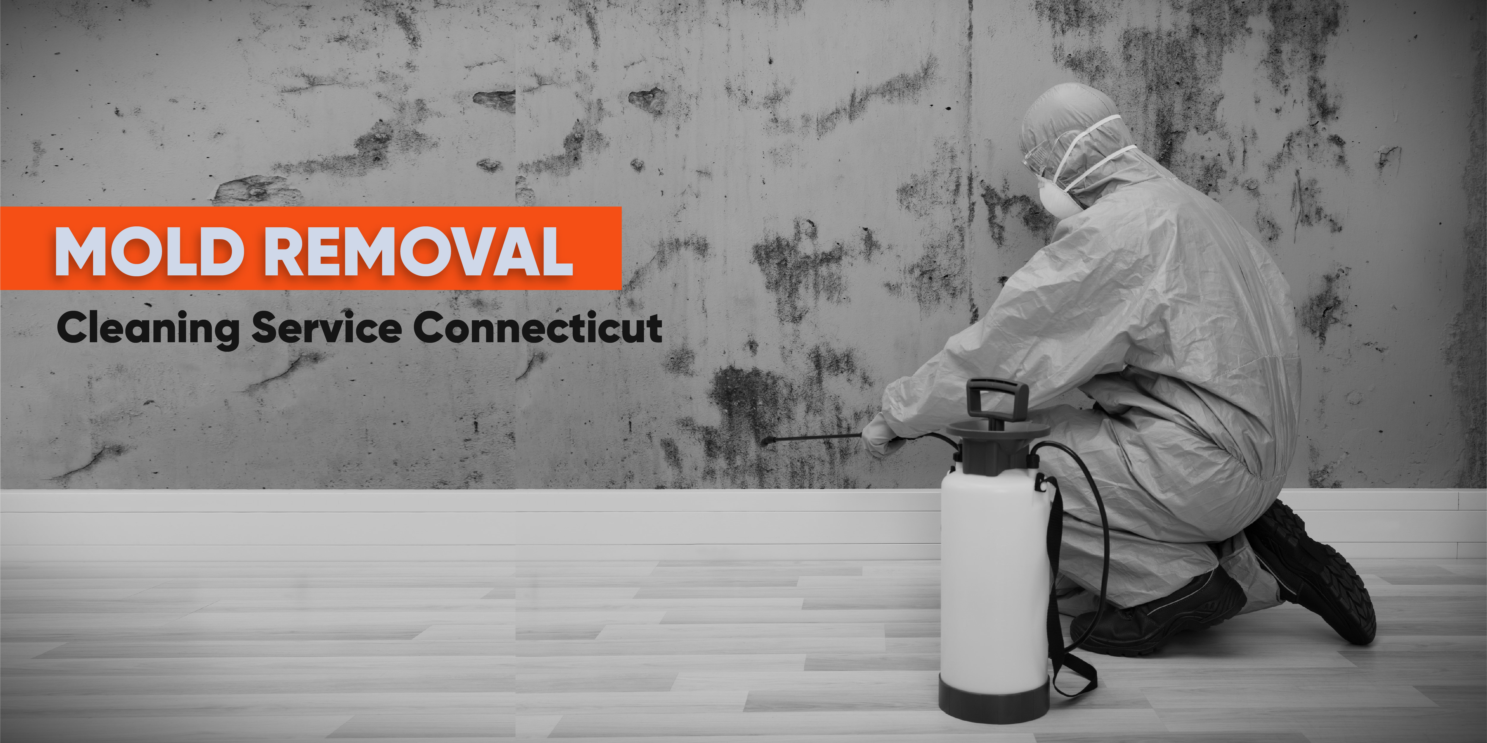 Mold Removal Cleaning Service Connecticut