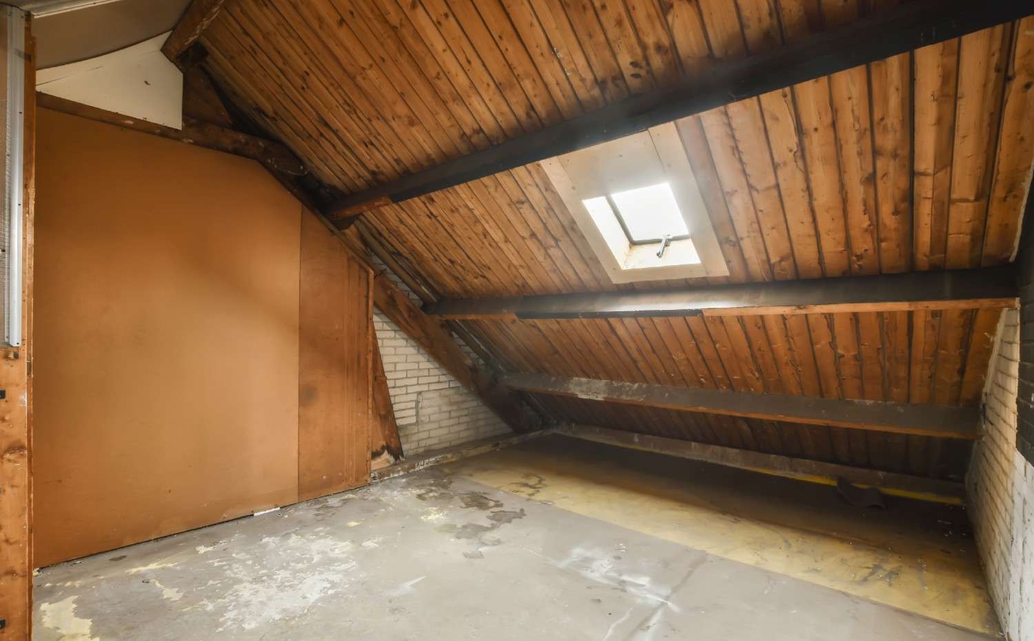 Attic Black Mold Removal Services