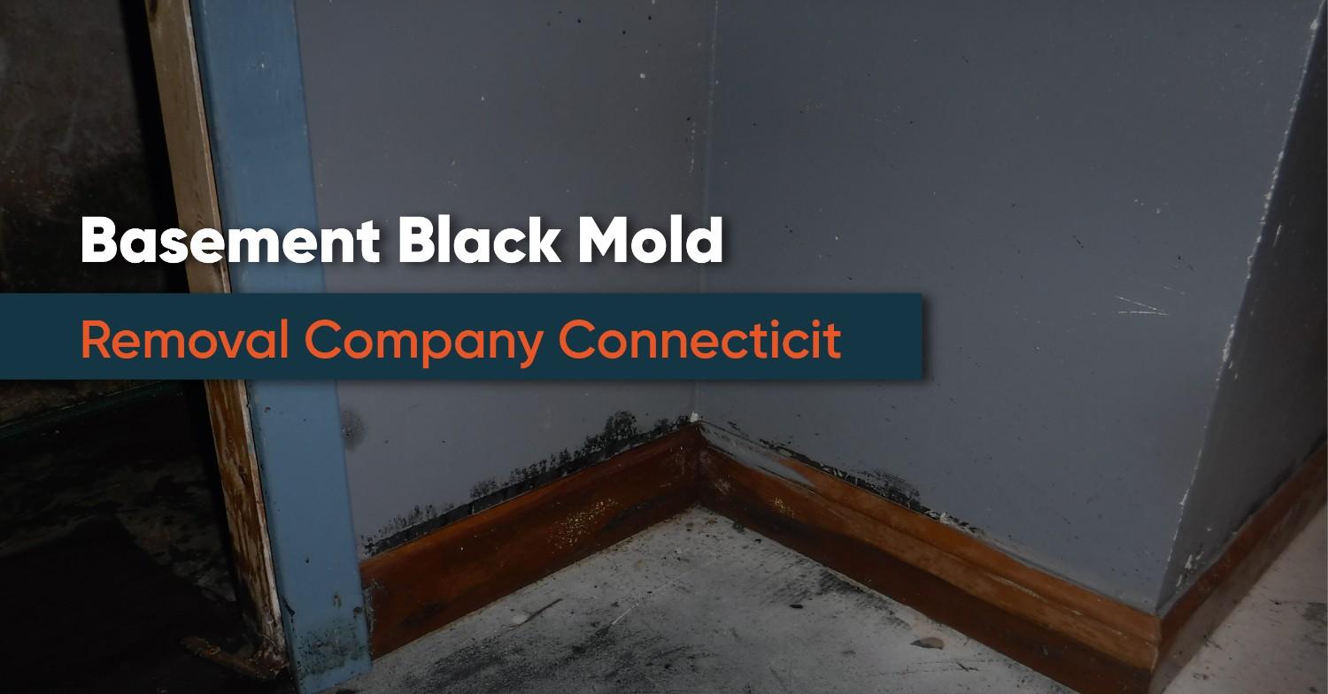 Basement Black Mold Removal Company Connecticut