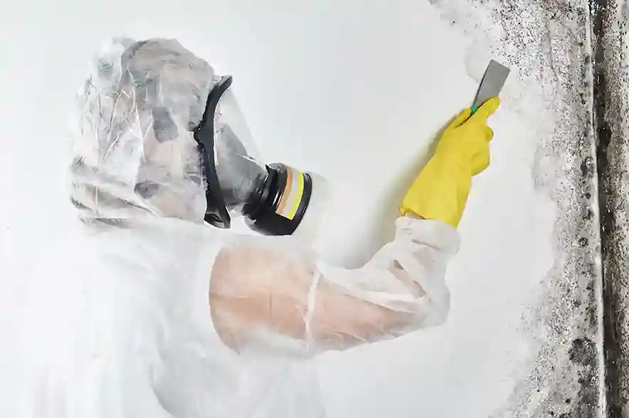 Mold Detection Services Connecticut