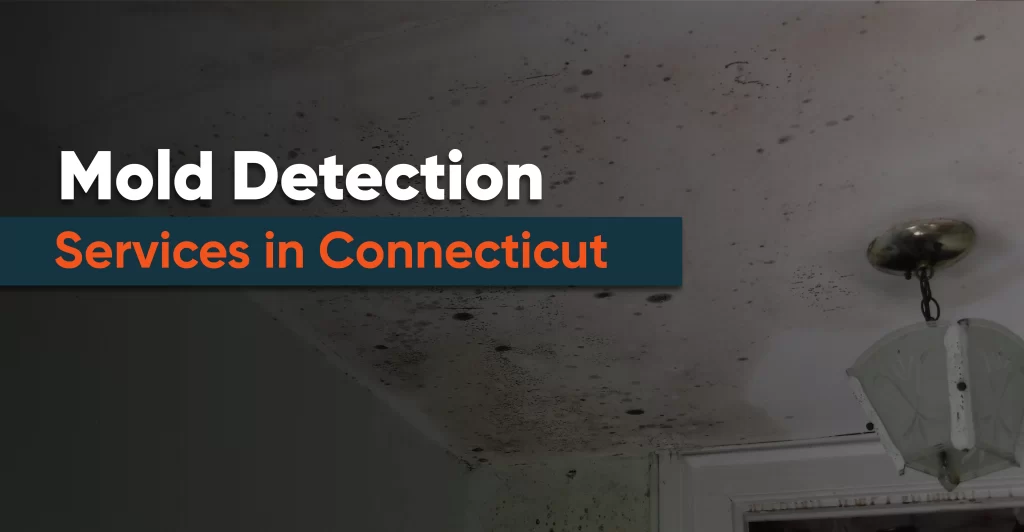 Mold Detection Services in Connecticut