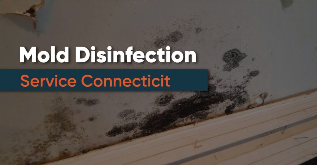 Mold Disinfection Service in Connecticut