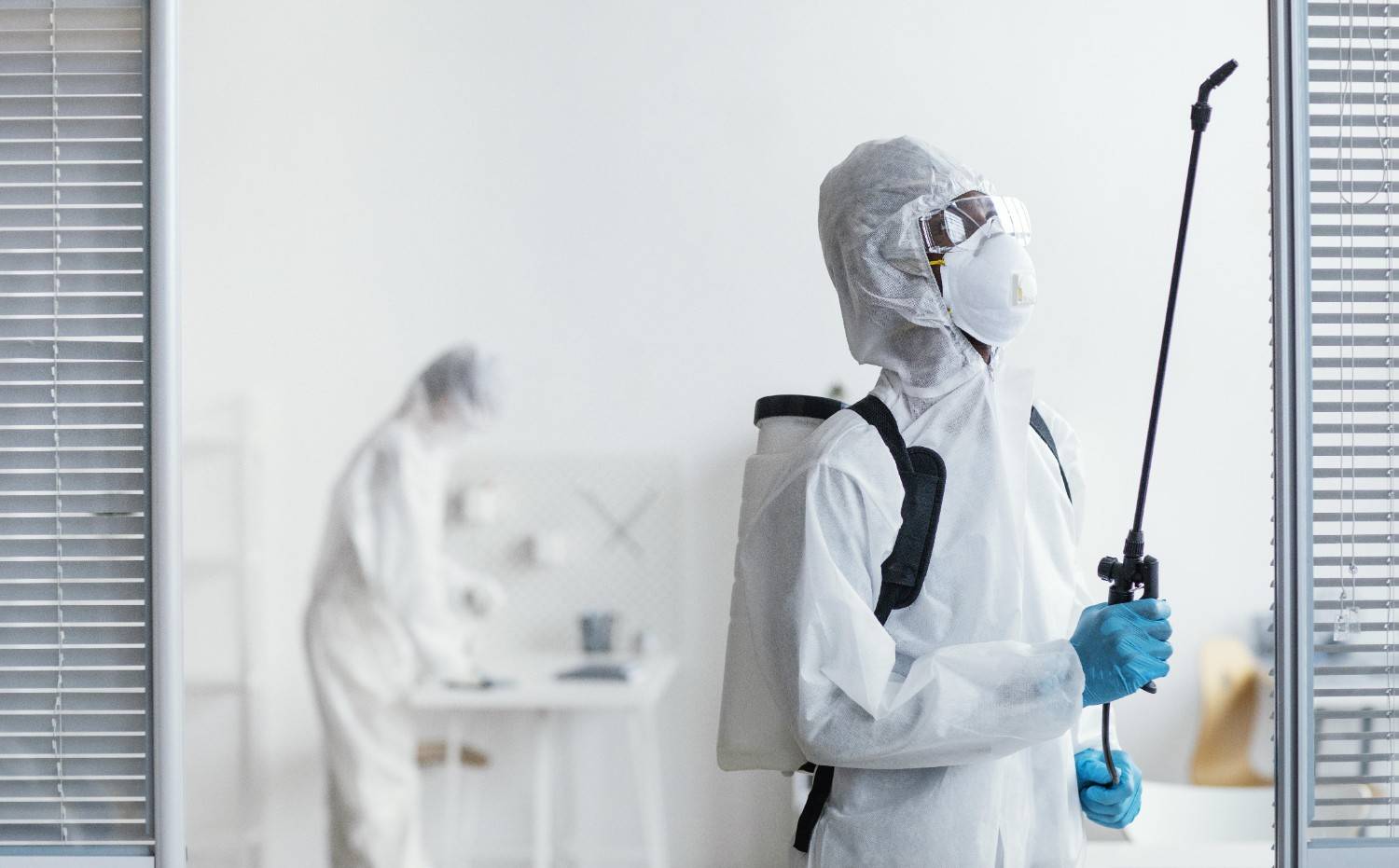 Mold Disinfection Service