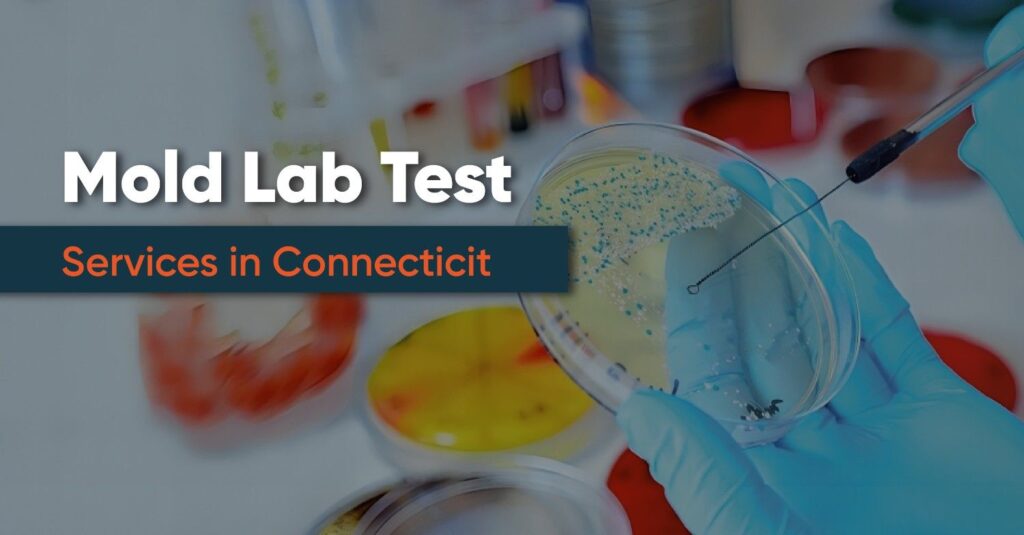 Mold Lab Test Services in Connecticut