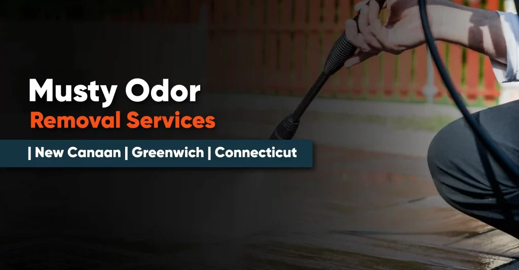 Musty Odor Removal Services