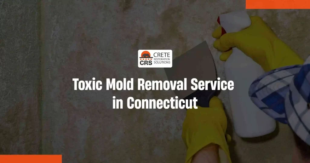 Toxic Mold Removal Service Connecticut