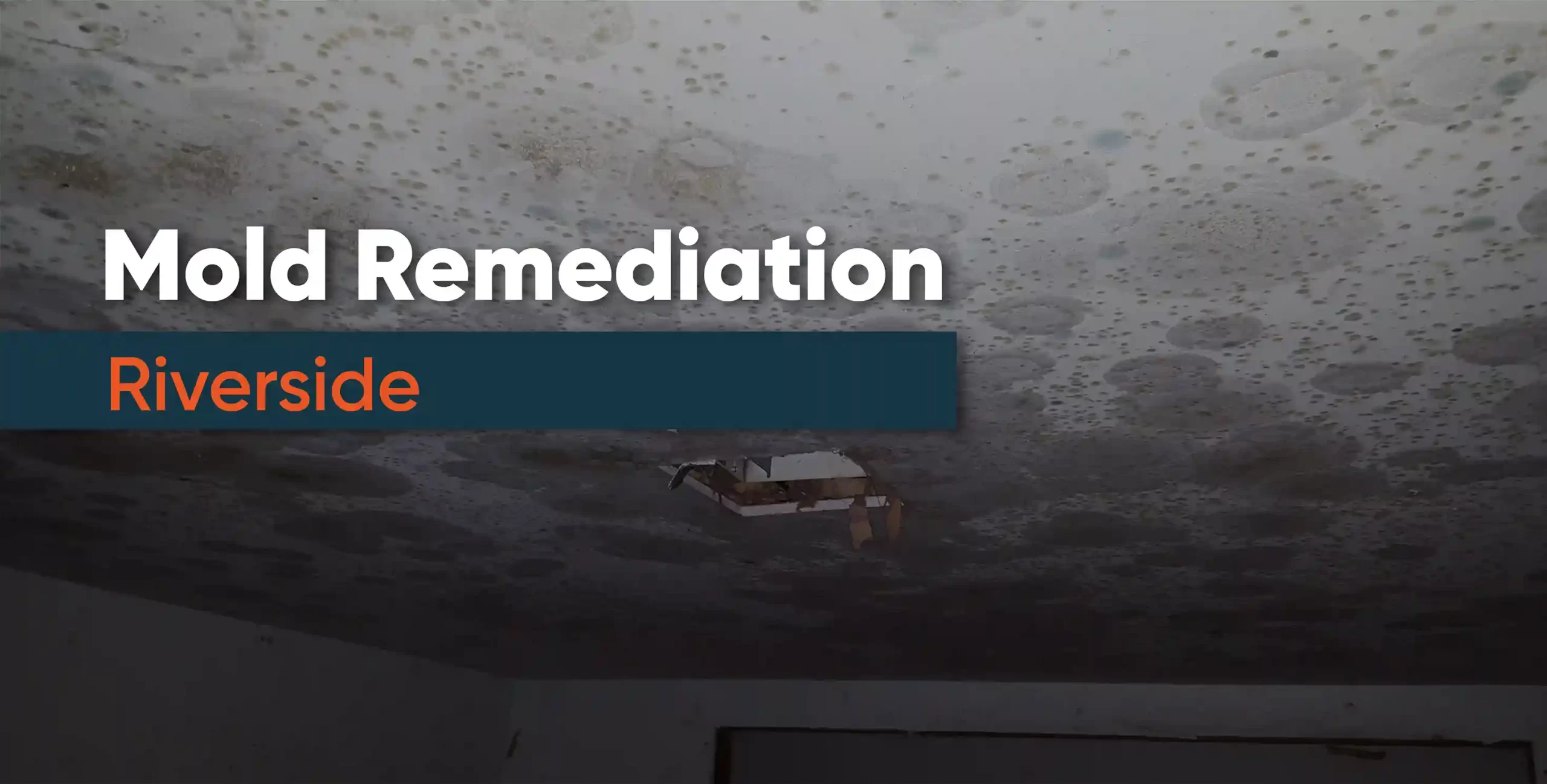 Mold Remediation Services in Riverside