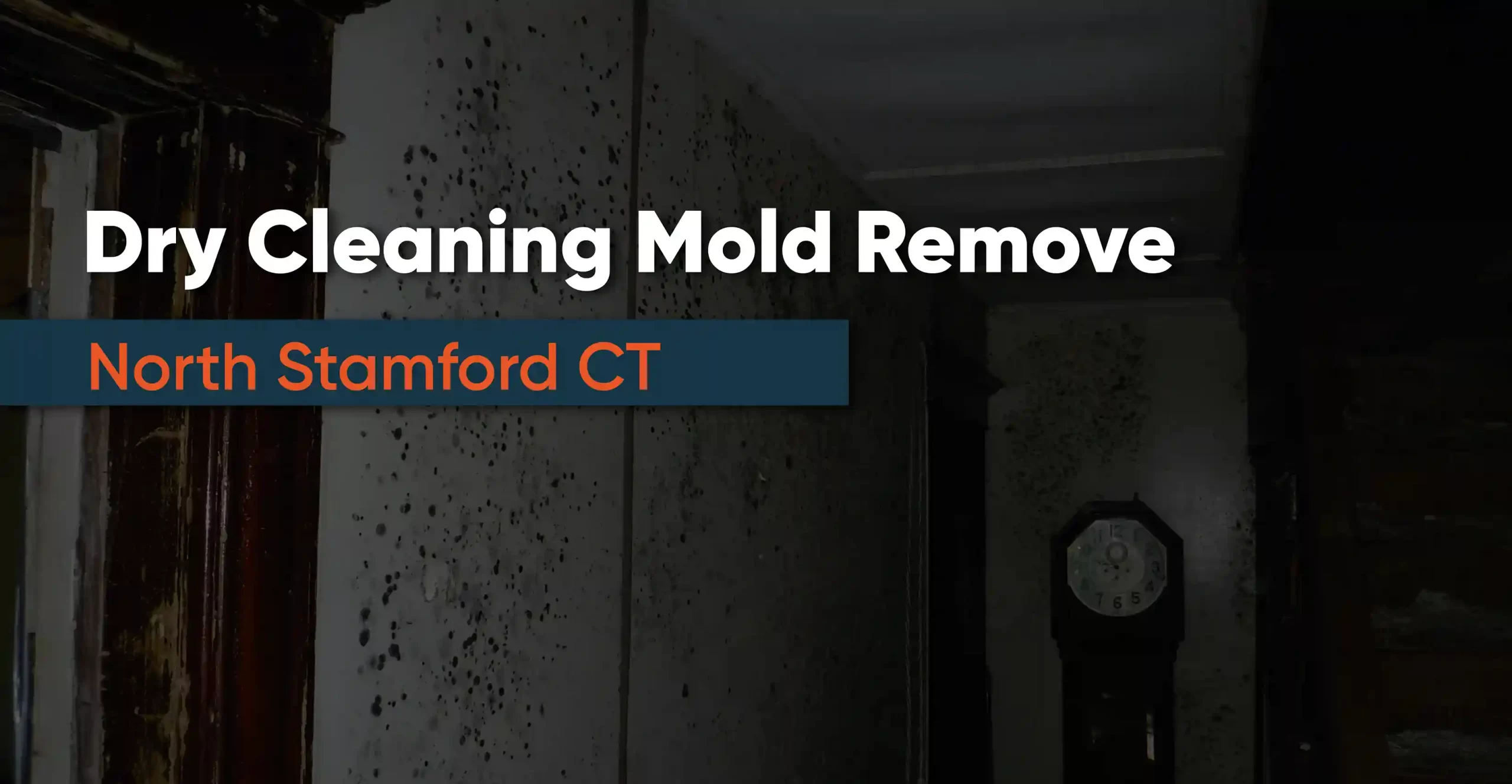 Dry Cleaning Mold Remove North Stamford CT