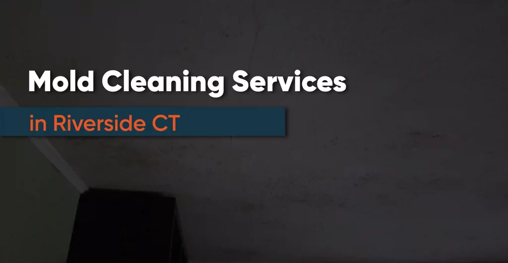 Mold Cleaning Services Riverside CT