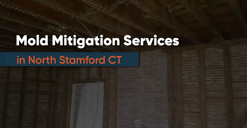 Mold Mitigation Services North Stamford CT