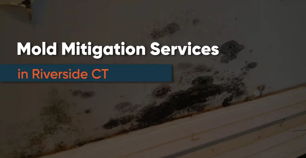 Mold Mitigation Services Riverside CT